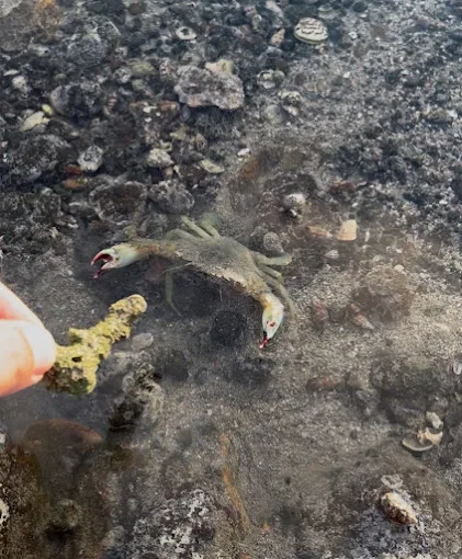 Xujiacun 海被子民宿